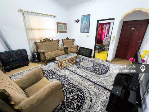 شقایق جنگلی (1)