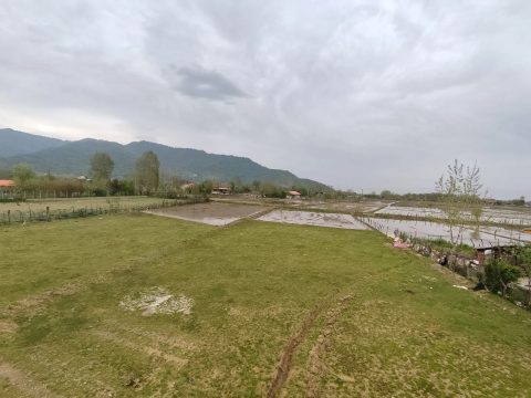 مازیار (2)