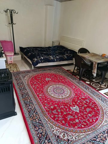 ساحلی دیانا