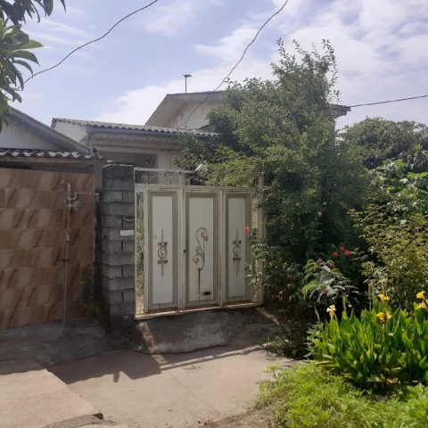 باران شمال