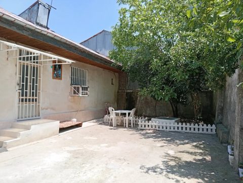 هانی - حیاط