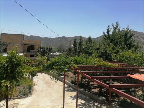 ویلایی سی سخت