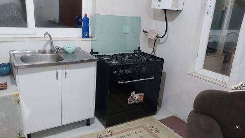 جنگلی زارعی