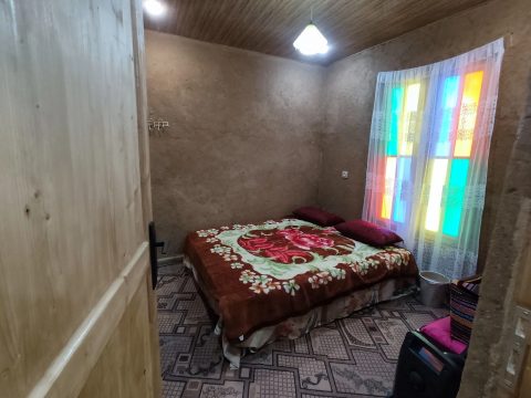 کاهگلی یوکا