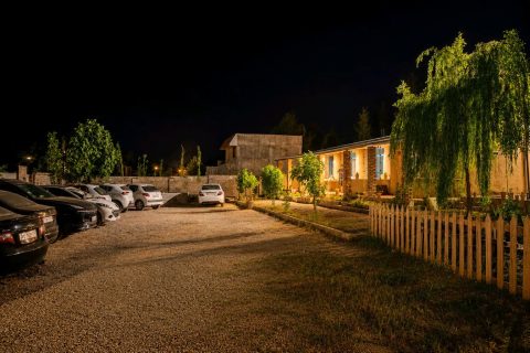 پرواز(واحد گل شقایق)