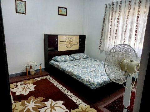 جنگلی شقایق چوبر